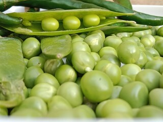 Grains or seed of Pisum sativum with Lycopersicon esculentum or Capsicum annuum L Green chilli or pea grains or seeds with Green chilli or garden pea seeds or grains with Green chilli