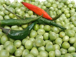 Grains or seed of Pisum sativum with Lycopersicon esculentum or Capsicum annuum L Green chilli or pea grains or seeds with Green chilli or garden pea seeds or grains with Green chilli