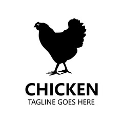 Fototapeta na wymiar Chicken logo design isolated in white background