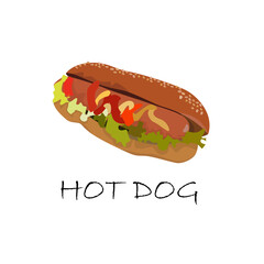 Hot dog illustration design in white background