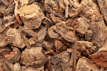 Close-up of Dry Organic Red Sage or Behman Lal (Salvia Haematodes) herb, Full-Frame wallpaper. Top View