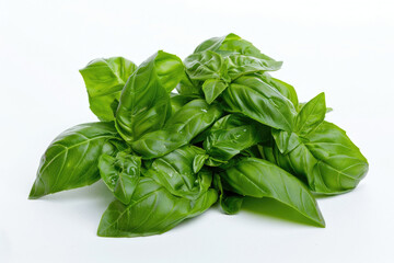 Fresh green basil leaves, vibrant against a white background