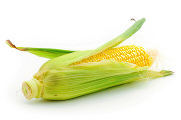 A fresh ear of corn with husk partially peeled, on white