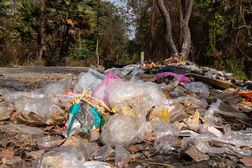 Garbage was dumped in the forest.
