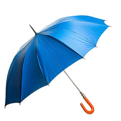 Blue umbrella.