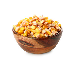 Bowl of corn for Festa Junina (June Festival) on white background
