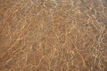 A close up of a body of water on a sandy beach, surrounded by brown twigs, plants, and grass creating a beautiful pattern overlooking the grassland