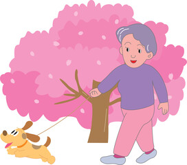 桜と犬を連れて散歩をする高齢女性
