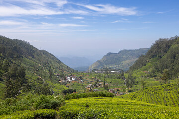 Views across the tea plantations from Lipton’s Seat in the Nuwara Eliya District, Central...
