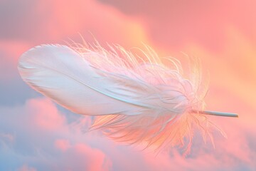 Delicate pink feather against a soft coral sky with wispy clouds.