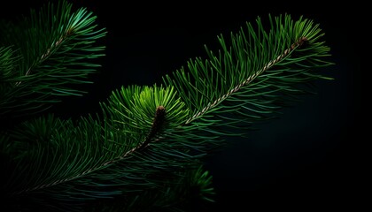 green christmas tree leaves in the dark