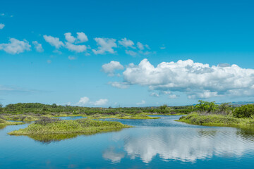 Keālia Pond National Wildlife Refuge, Maui Hawaii