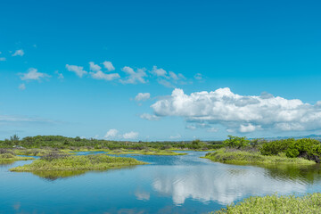 Keālia Pond National Wildlife Refuge, Maui Hawaii