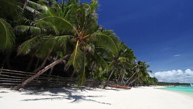 Pristine beach with palm trees, white sand and turquoise tropical sea. Travel destination. Nobody