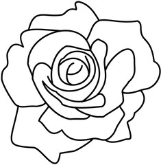 Beauty single Rose doodle outline