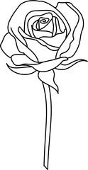 Beauty single Rose doodle outline