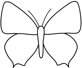 butterfly vector illustration flat color