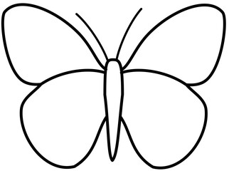 butterfly vector illustration flat color