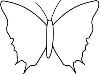butterfly vector illustration flat color