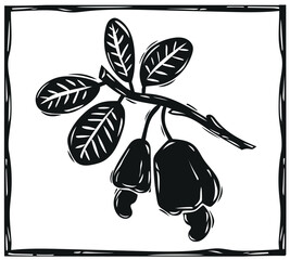 Cashew branch with leaves and fruits. Cordel woodcut style. Vector illustration