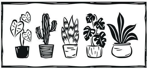 Set of potted plants in woodcut engraving style. Monstera, cactus, anthulio, houseplants. Vector illustration © AZOGUE.art