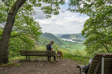 Tourist girl sitting on a bench with a puppy boxer dog looking at the rhine river valley near Andernach from viewpoint - 748476620
