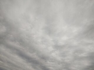 東京のそら(24.3.1)