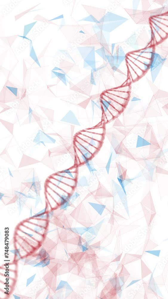 Poster red blue dna chain loop motion on white vertical animation background.