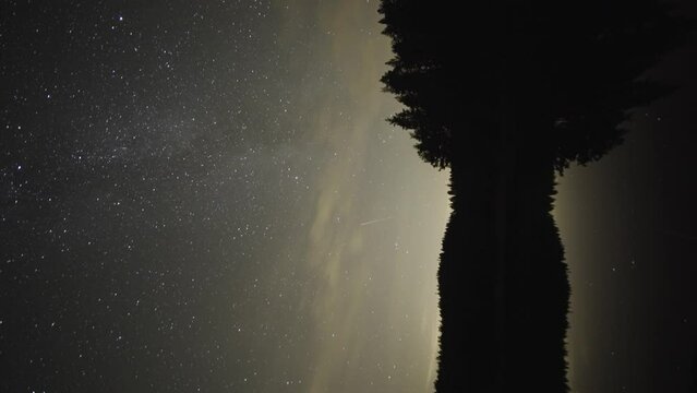 Milky Way in the dark night sky. Silhouettes of the trees on the ground.  A timelapse video.