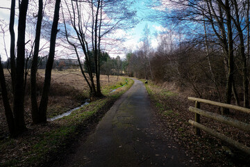 Ein Waldweg mit einem kleinen Holzgeländer und einem Bach am Rand führt aus dem Wald hinaus zu einem Feld