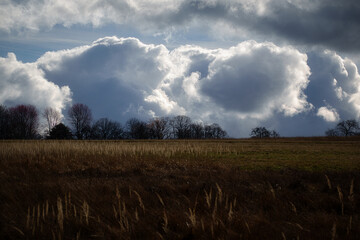 Blick über ein karges Feld mit Bäumen im Hintergrund und massiven Wolken am Himmel