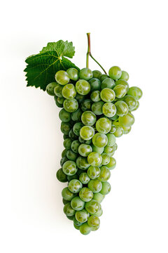 Fresh green grape bunch with leaf isolated on white background with copy space, ideal for healthy eating and organic food concepts
