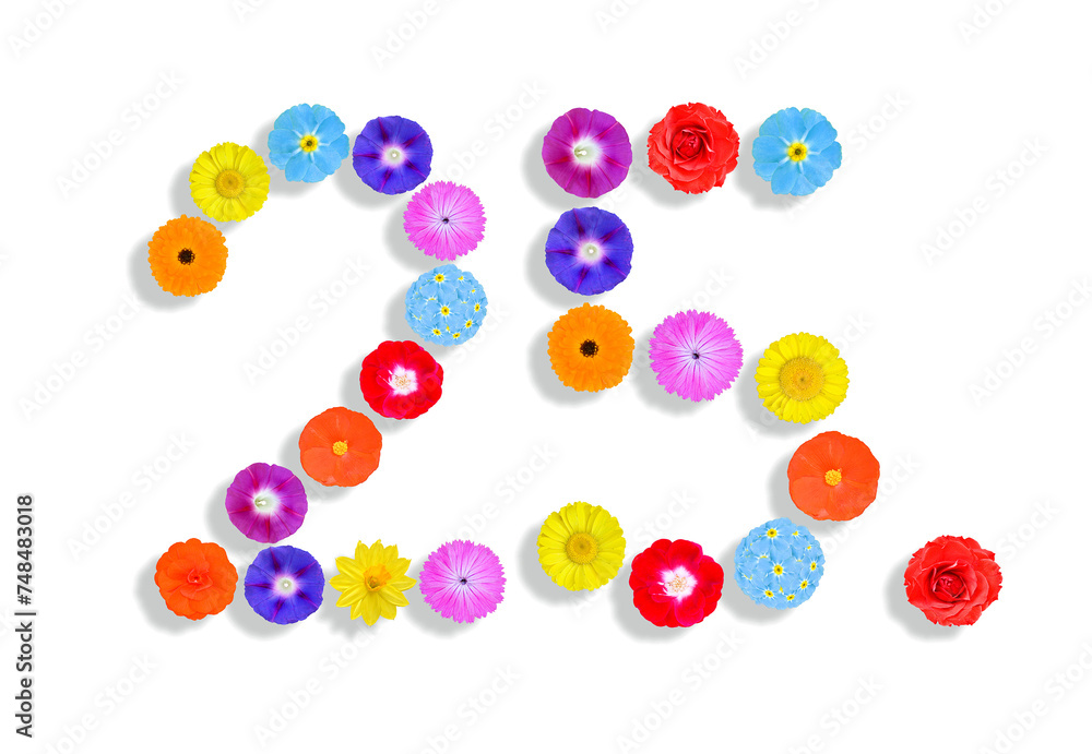 Wall mural number written on white background with colorful flowers, graphic, illustration