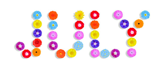 word written on white background with colorful flowers, Graphic, Illustration