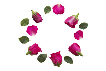 pink rose flowers arrangement flat lay circle postcard style 
