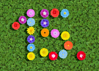 Fototapeta na wymiar number written with colorful flowers on green clover background
