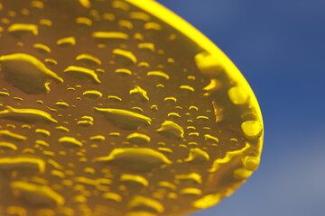bright yellow acryl discus with water drops on it