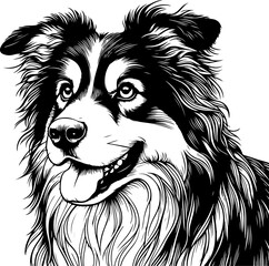 australian sheperd dog pet portrait in line art or stencil art illustration, isolated on transparent background