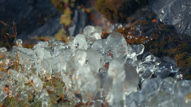 Ice glazed the grass and tiny plants, creating miniature stalagmites on the ground. A parallax video.