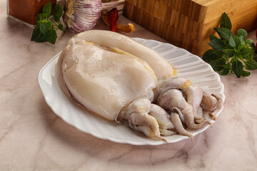 Fototapeta na wymiar Raw fresh cuttlefish for cooking