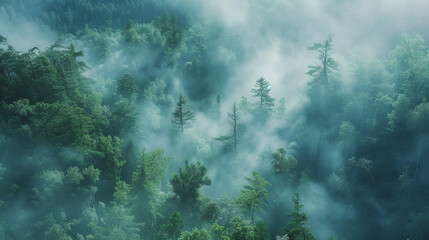 Early morning mist weaving through a dense forest, the trees emerging ghostly green, a scene of...