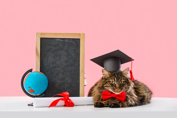 Cute cat with graduation hat, chalkboard, diploma and globe on table against pink background. End...