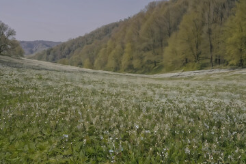 Obraz premium meadow with flowers generative ai,