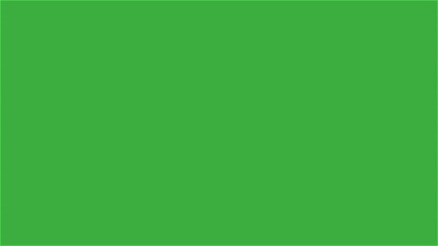 Animation video line on green screen background 