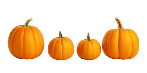 Collection of vibrant orange pumpkins isolated on a transparent background  | png file