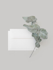 Top view of envelope with eucalyptus branch on light gray background. 
