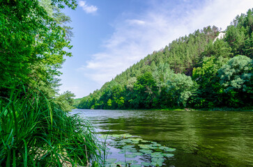 Fototapeta premium river and green forest on a mountain without people