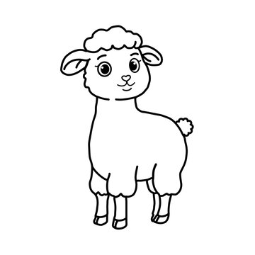 Sheep outline hand draw for coloring pages.