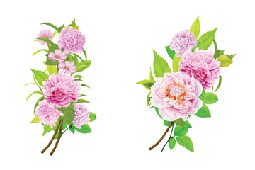 peonies floral wreath and bouquet illustration design
