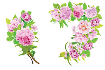 peonies floral wreath and bouquet illustration design